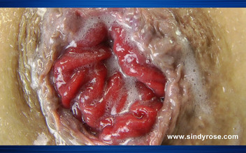 Sindyrose: Sindy Rose チェック ドレス スタジオ フィスティング & 脱出