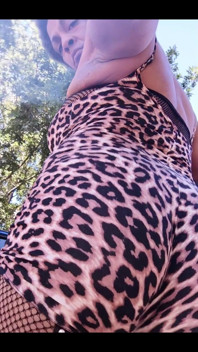 I Was a Cheetah Girl Today. I Had a Good Route in the Burbs and Was Cool with My Cheeta Print