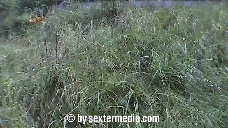 Sextermedia by Pete: German hobby whores need a lot of piss