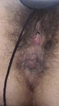 Arbusto mojado abierto y culo peludo en pantimedias (primer plano) sentando en la cara en primer plano