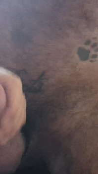 Hairy Stinky Wolf Fucks Hairy Stinky Gorilla.