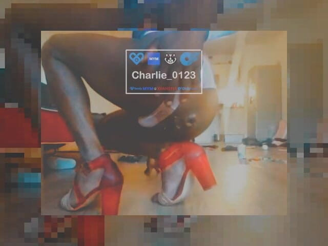 Charlie-0123: 30 centimeter, de grote uitdaging