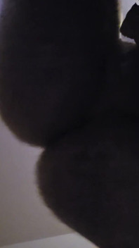 Hey Cumshot