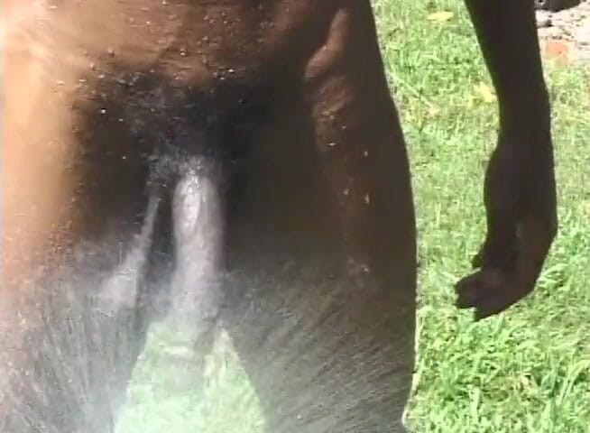 Black Jass: Büyük memeli Nubian güzellik açık havada büyük zenci yarağını memnun...