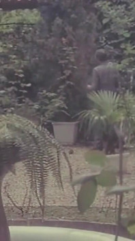 Her Husband Spies on Her While She Gets Fucked by the Gardener.
