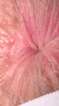 Your Step Bro Couldn't Think of Anything Better Than Sniffing Your Thong in the Anal Area and Filming It Close-up