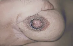 Alina Butt News Anker Leaked Video Lahore Guest House