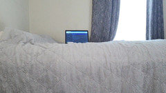 Julia Ryan: Devinettes