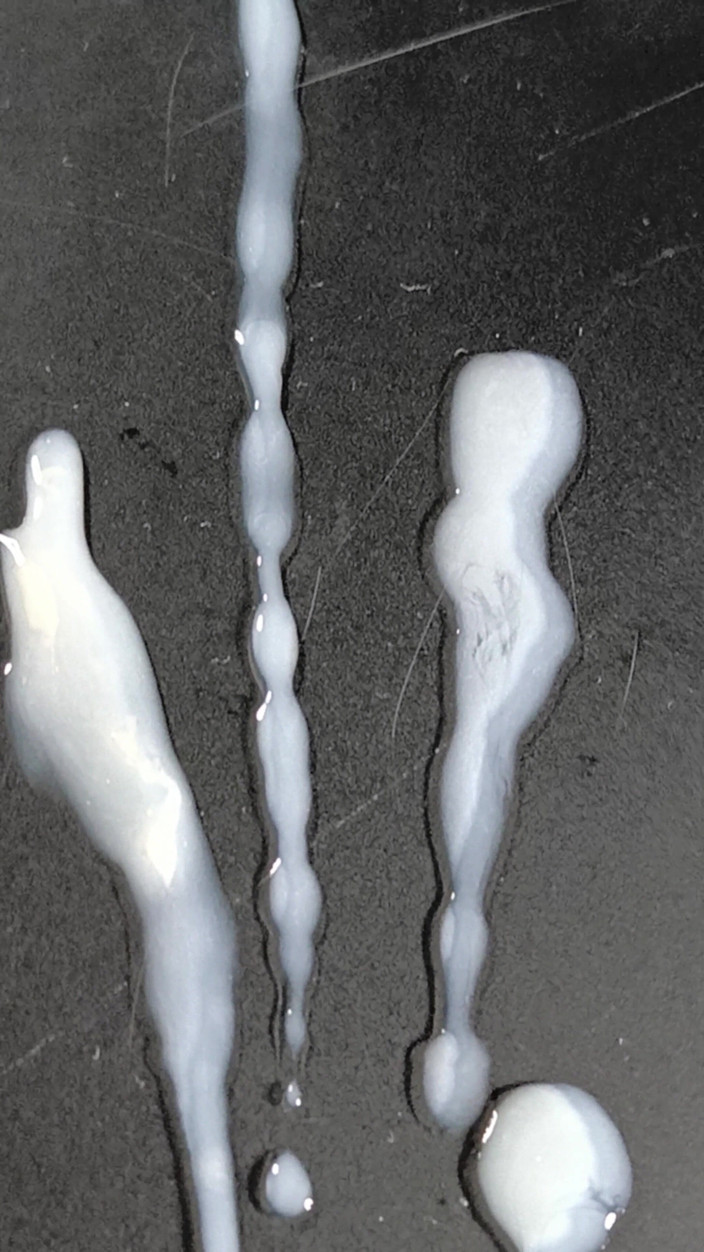 LolaCD: Bu bir zevk olurdu