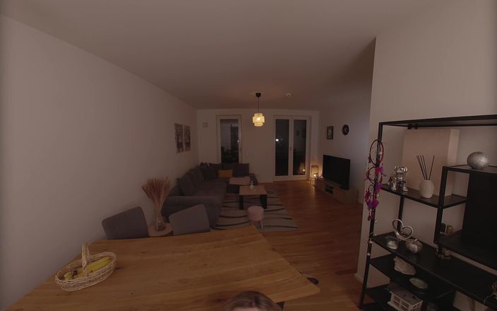 Micky Muffin VR: 家庭办公室与我的老板