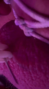Full Video Punishment and Piercing Insertion After Injecting True Shaft and Balls