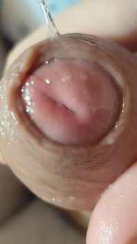 Boy Explores the Super Pre Cum of the Big Cock.