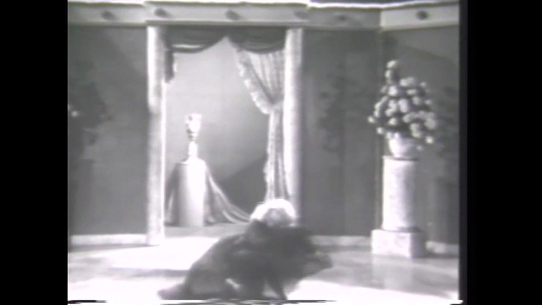 The Unforgettable: Danzando Nell'aria