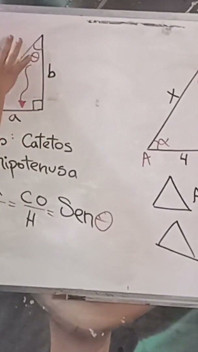 86 Teorema de pitagoreo sexual trigonometría