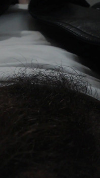 Alpha Superiority Pubic Hair