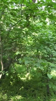 Kirli kız parkta çöp atıyor ve işiyor