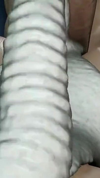 Rigid3d intensiv anal ridning läcker het stor röv jävla enorm monster kuk intensiv sex söt välsmakande nöje