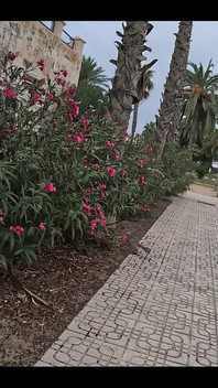 Riskli meydan okumaların ve herkesin içinde işeme içeriğinin içinde misiniz?