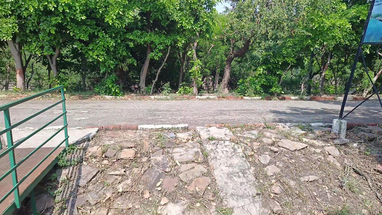 Mommy wants sex: Моя дівчина хоче ризикованого сексу на природі