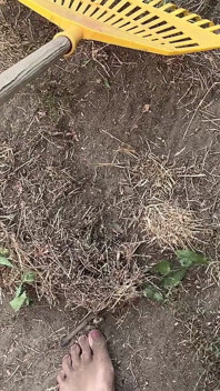 Kaki bejat di taman