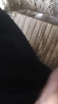 Bm brilantní