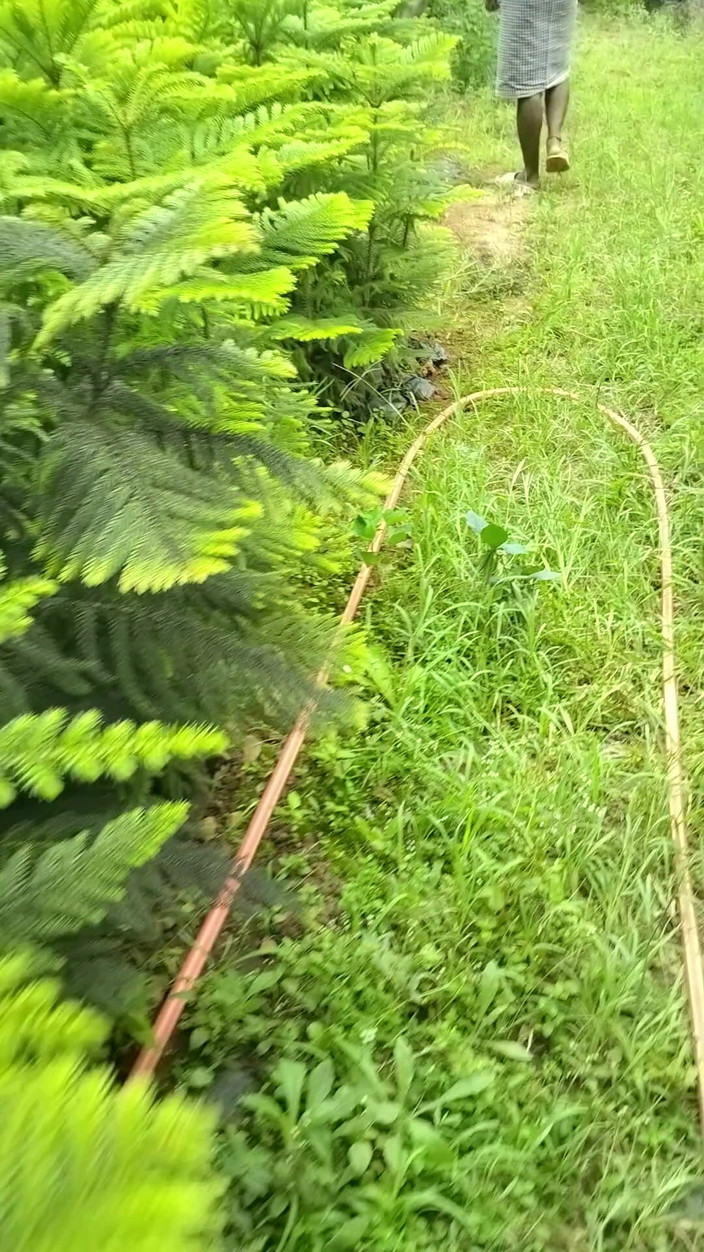 Mg3947731: Video gợi cảm đầy đủ của vợ chồng Deshi