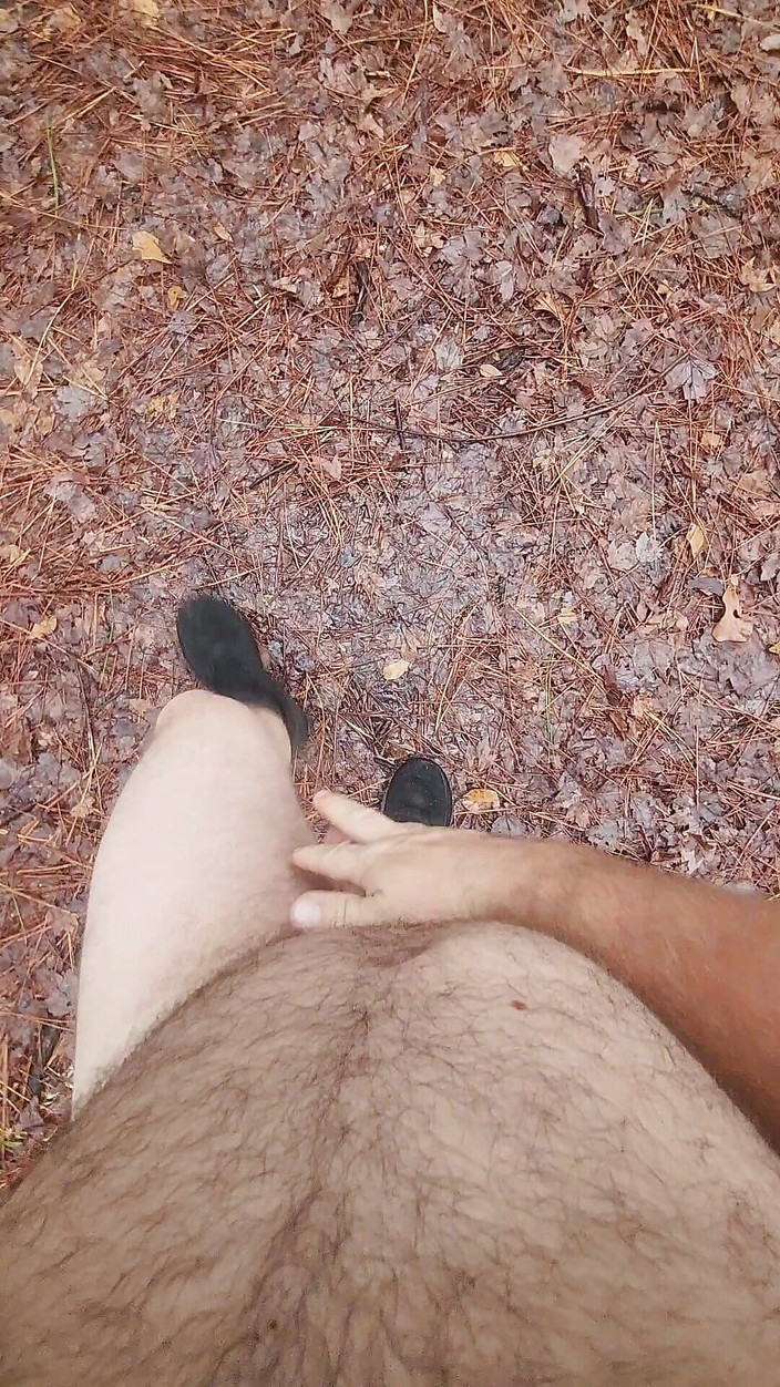 Djk31314: Spacerując po parku