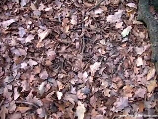 Young Libertines: Autumn fuck on leaf carpet