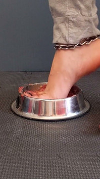 Canned Meat Under Feet