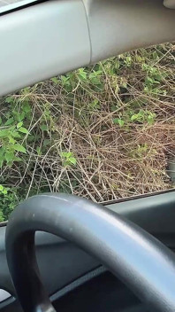 Paja Se Masturba En El Auto, Hace Pis Y Se Corre En La Calle