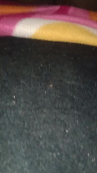 Esposa por marido delante de 2 amigos