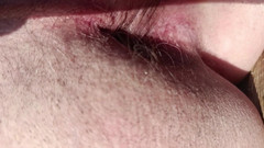 Hamsterteletu: Senior si hraje na pláži