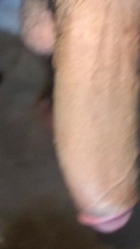 Big Desi Indian Dick