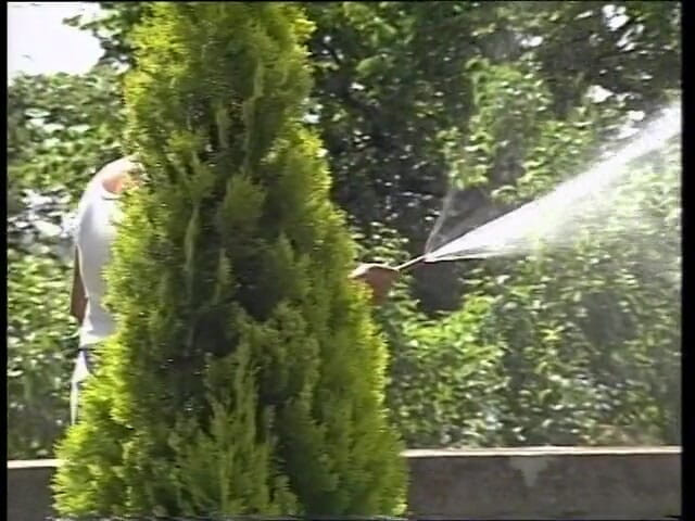 Horny Two really wet MILFs: Une MILF sexy en action en plein air