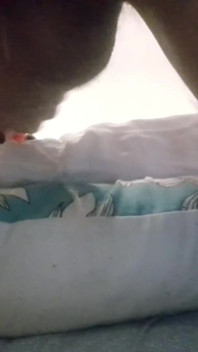 Laura scopata in gola con grandi labbra bavaglio deve ingoiare un enorme carico di sperma