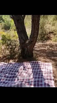 Piquenike in the Pinal 1