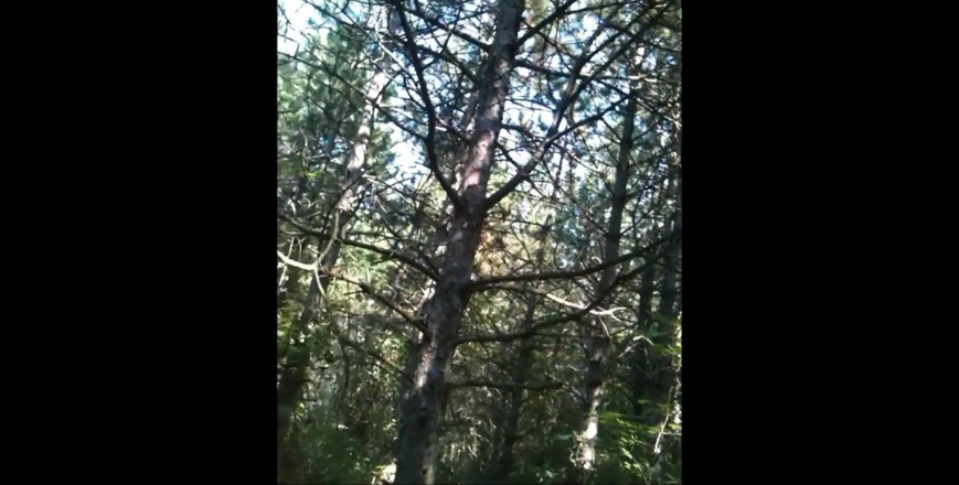 Sexy O2: Sexy O2, T &amp;a 609 (01) - POV Zezadu, oblečená ošukaná francouzská dívka