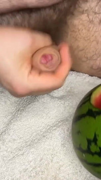 Mengongkek melon