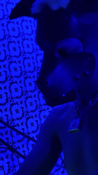 Sogno bondage