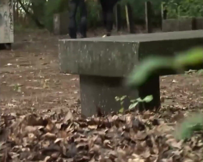 German amateur - 100% German hardcore videos: Brünette milf gefickt bis zum abspritzen im wald