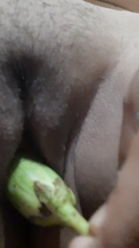 Brinjan đụ
