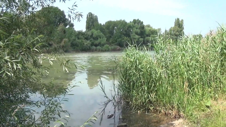 Horny Taboo: Prima dată cu sora vitregă