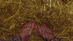Lilly Disgrace: Pieds stables pisseux
