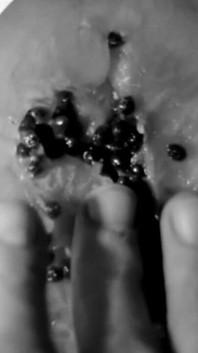 Hand Fetish - My Hands Destroying Fresh Fruit
