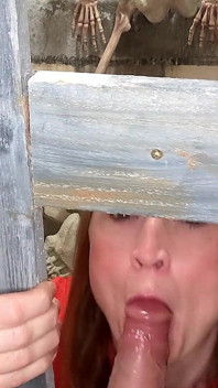 Sucking off the Prison Guard