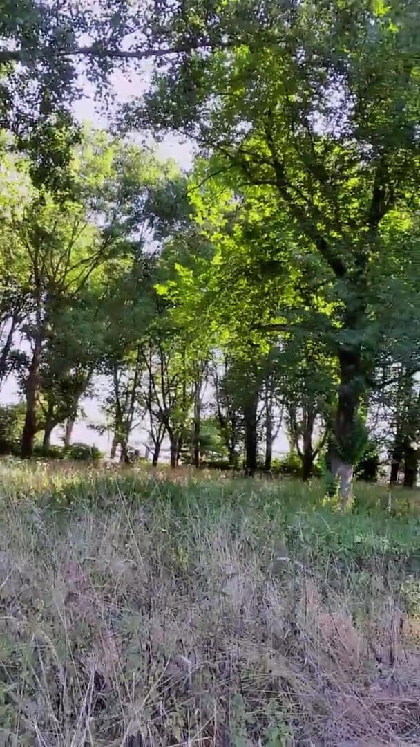 Slutboyben: Ratu Eksibisianis