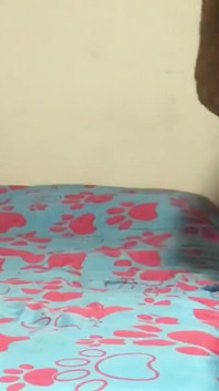 Harter sex mit meinem nachbarn, der muschi und arsch leckt, gibt mir einen reichen blowjob