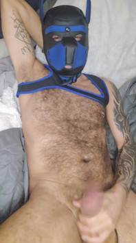 Pup Talking Dirty to You