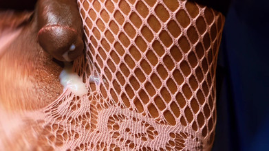 Ms300 Sarazia Exotic