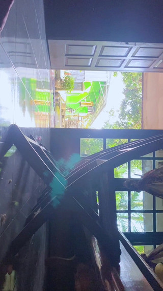 Bella Ivanka: Eid Al-adha'nın ikinci günü kayınbiradesinde yapılıyor